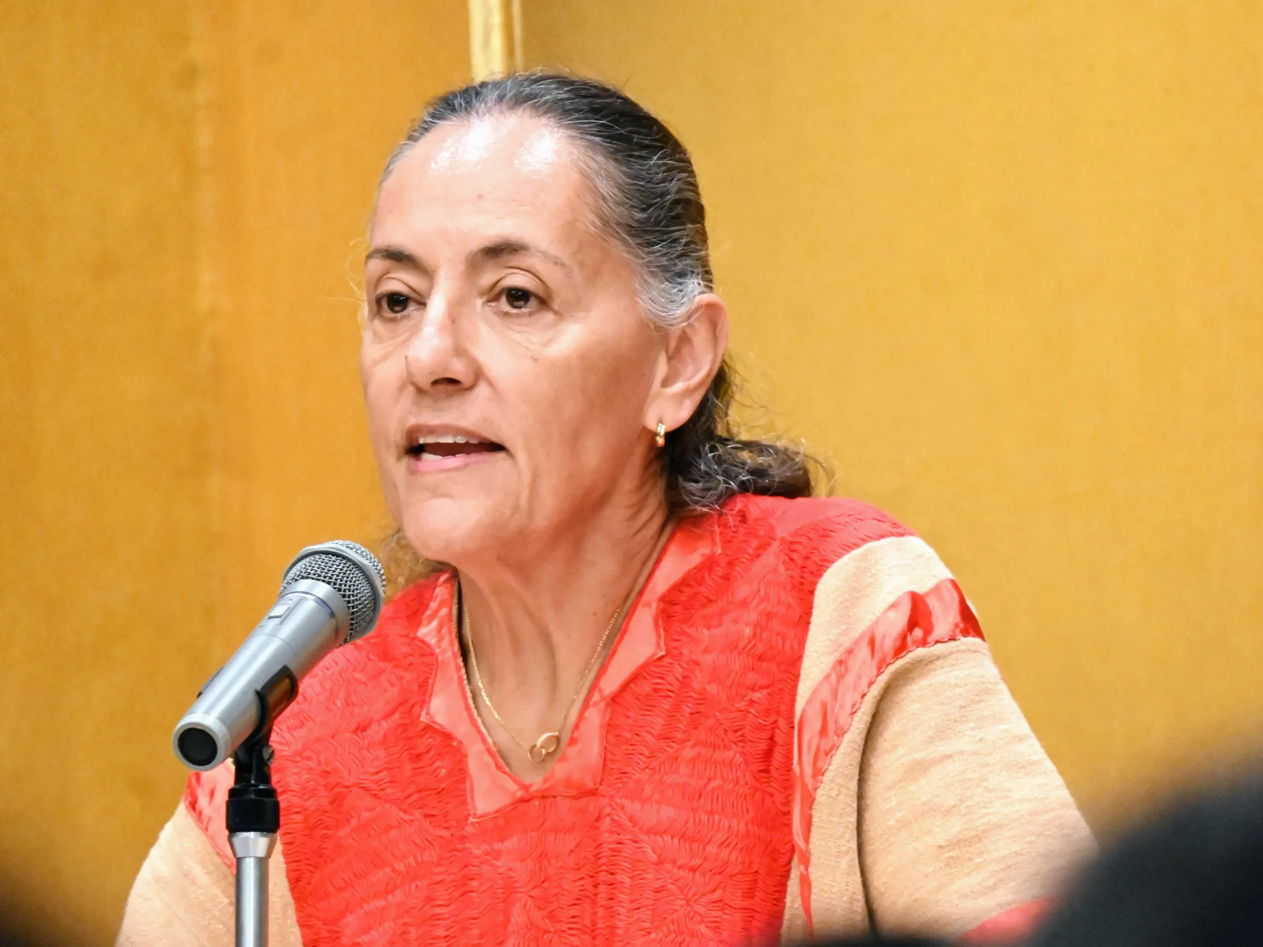 Mexican Ambassador to Japan Melba Pría Olavarrieta