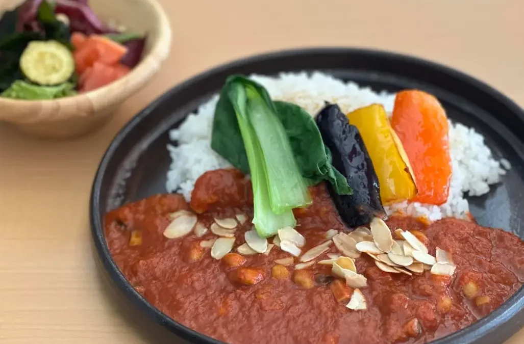 Vegan curry set meal at Green Sky Hotel in Takehara