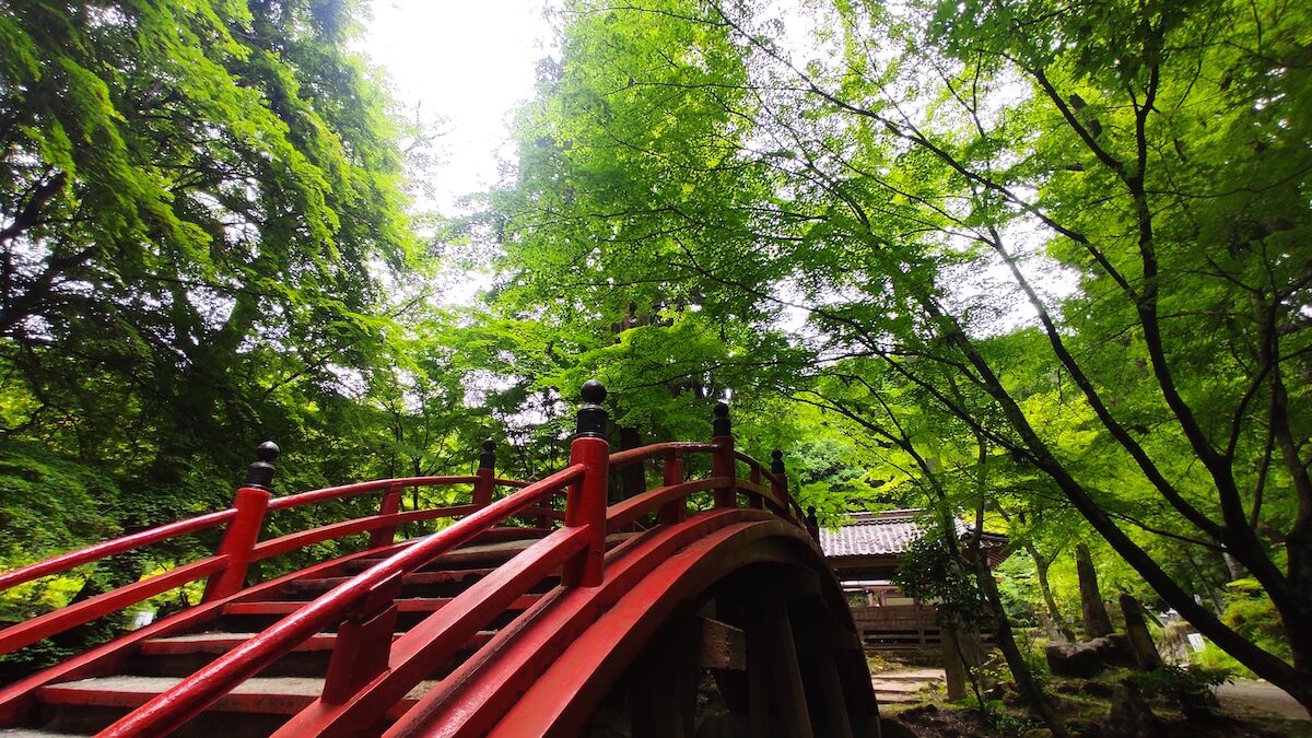 Imakoyasan: Discover Hiroshima’s “Little Koyasan” and a Hidden Temple Café