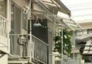 Hiroshima cat owner sentenced for beating noisy neighbor to death