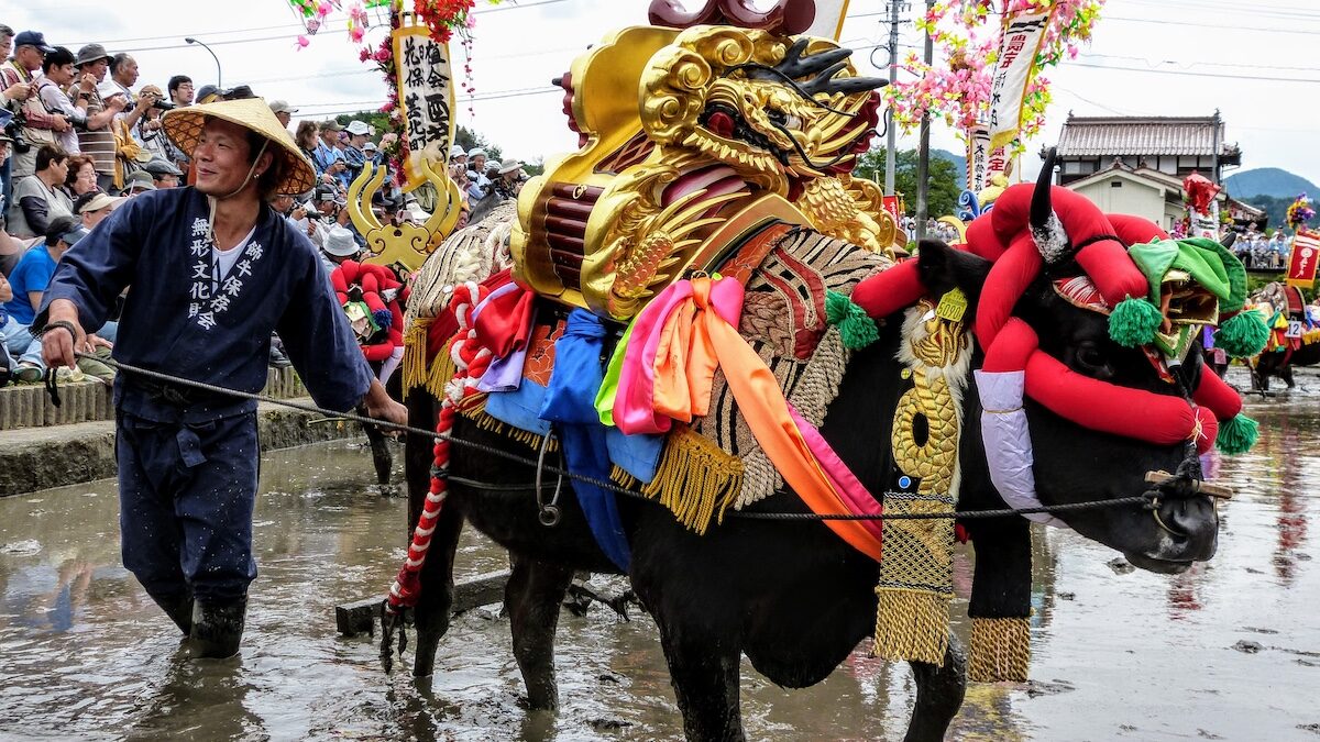 Mibu no Hanadaue, Japan’s Most Spectacular Rice Planting Ritual