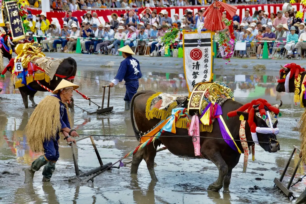 Mibu no Hanadaue