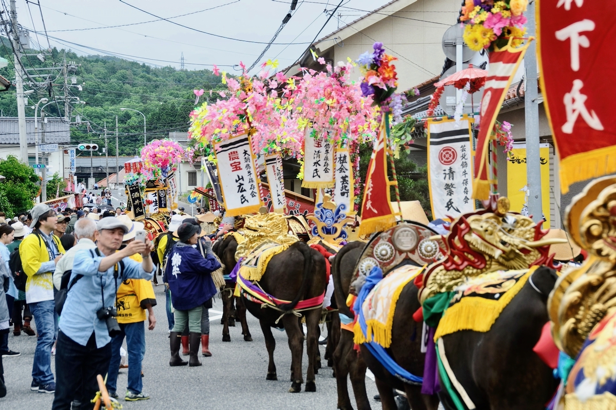 Mibu no Hanadaue - Yukimichi parade