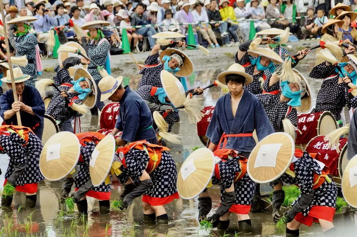 Mibu no Hanadaue