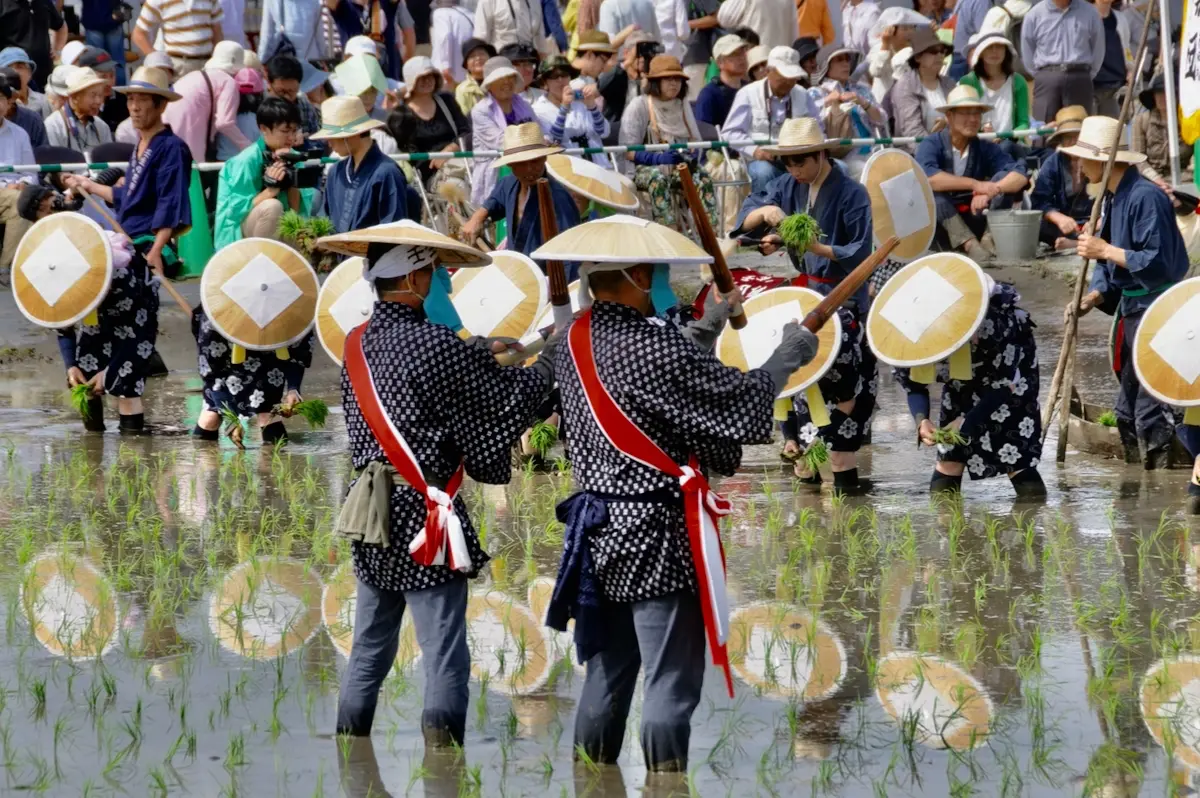 Sanbai in action - Mibu no Hanadaue